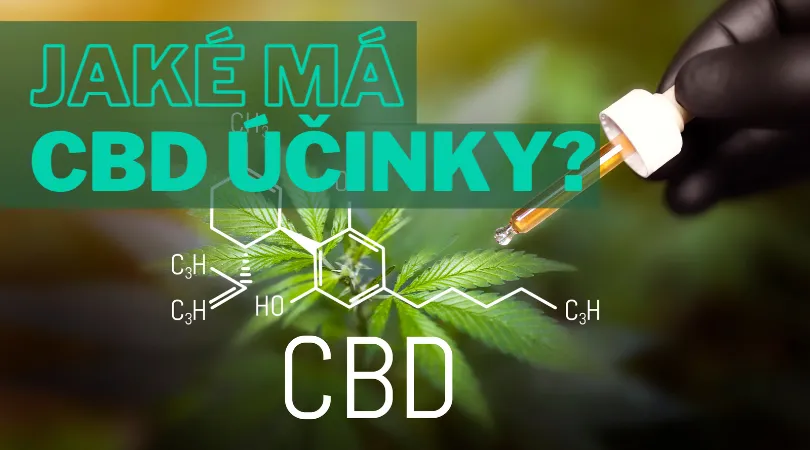 Jaké má CBD účinky